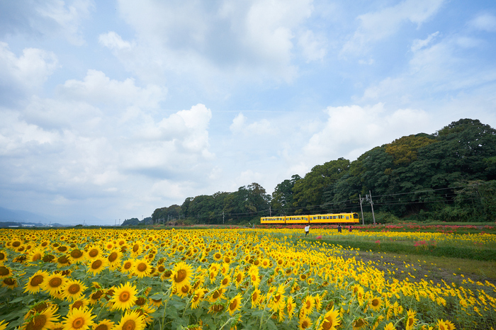 お写ん歩: TAMRON 28-75mm F2.8 Di III RXD model A036アーカイブ